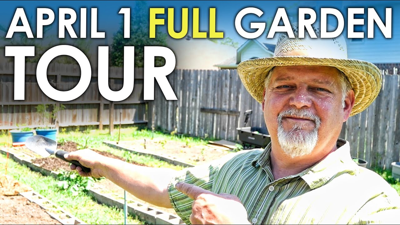 1st of April FULL GARDEN TOUR || Black Gumbo