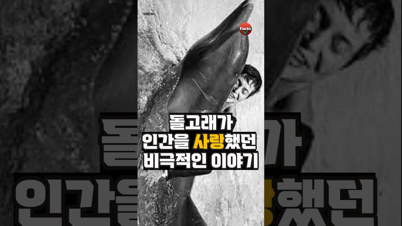 돌고래가 인간을 사랑한 비극적인 이야기 #shorts