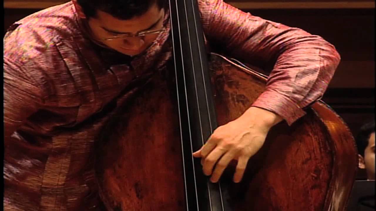 Sperger, Concerto Nr. 15 1st mov (Anner Bylsma: cadenza 2011)
