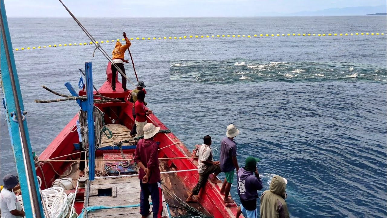 Pukat cincin, Nelayan Indonesia Dapat Banyak Ikan, luar biasa hasil tangkapan nelayan Indonesia