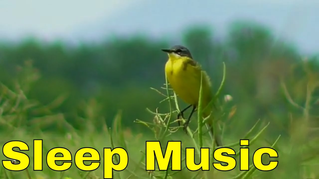 Beautiful Relaxing Music for Sleeping 30 minutes. Soothing Music for Kids to Fall Asleep Fast.