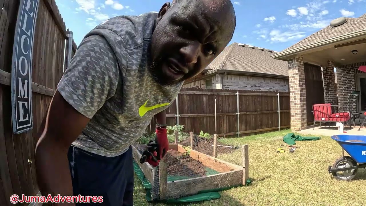 Will My Vegetables Grow Again