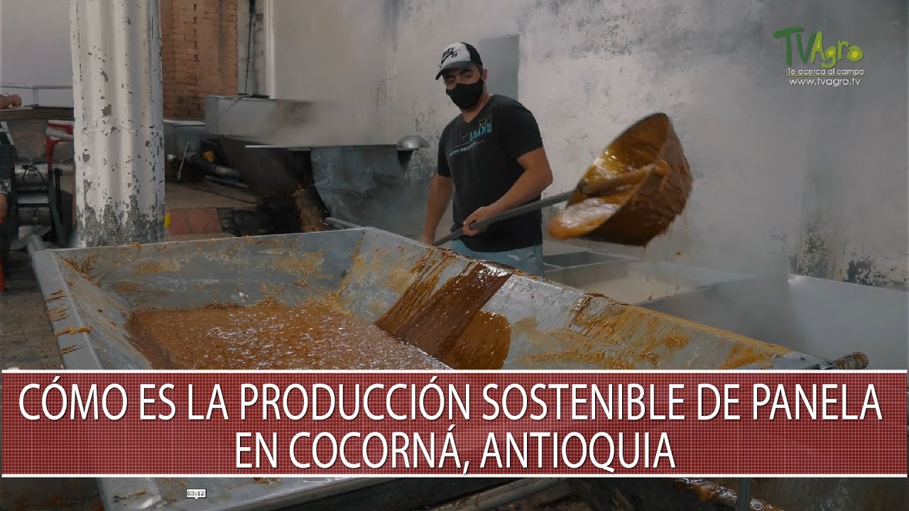 Como es la produccion sostenible de panela en Cocorna Antioquia - TvAgro por Juan Gonzalo Angel