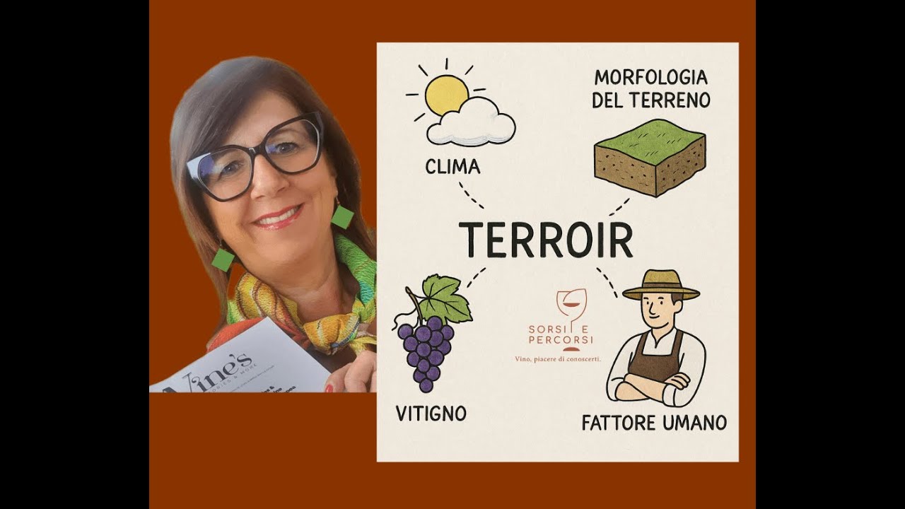 COS'È IL TERROIR? Un viaggio tra vigna, clima e scelte umane