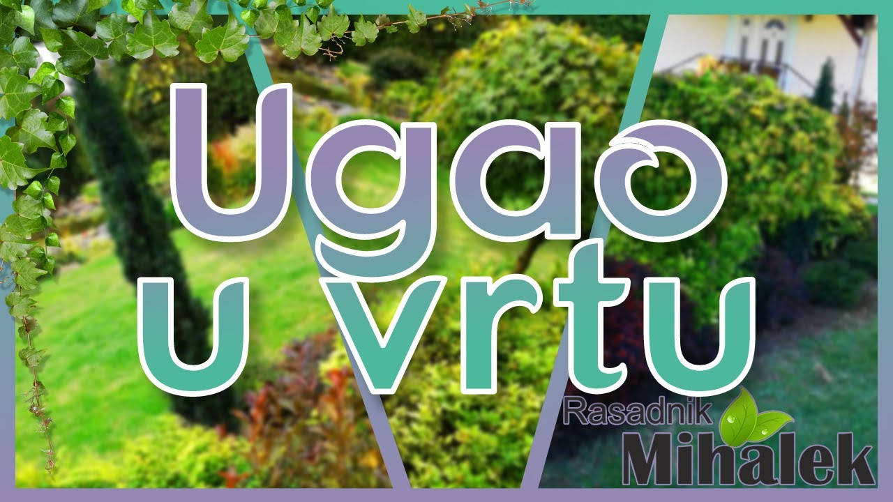 Mali saveti💡 - uređivanje jednog ugla u vrtu