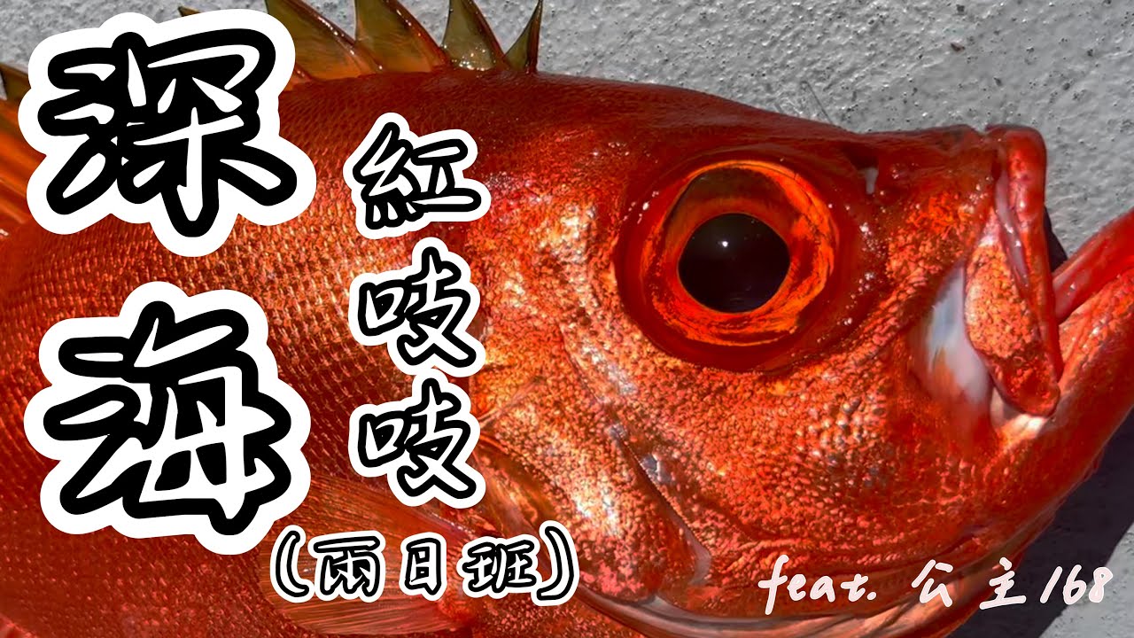 【EP14】激戰珊瑚瀨~ 輕鬆一竿破萬~ 紅大目赤馬兩日班! feat. 公主168_by 釣魚輕鬆玩 #船釣 #紅大目 #深海魚