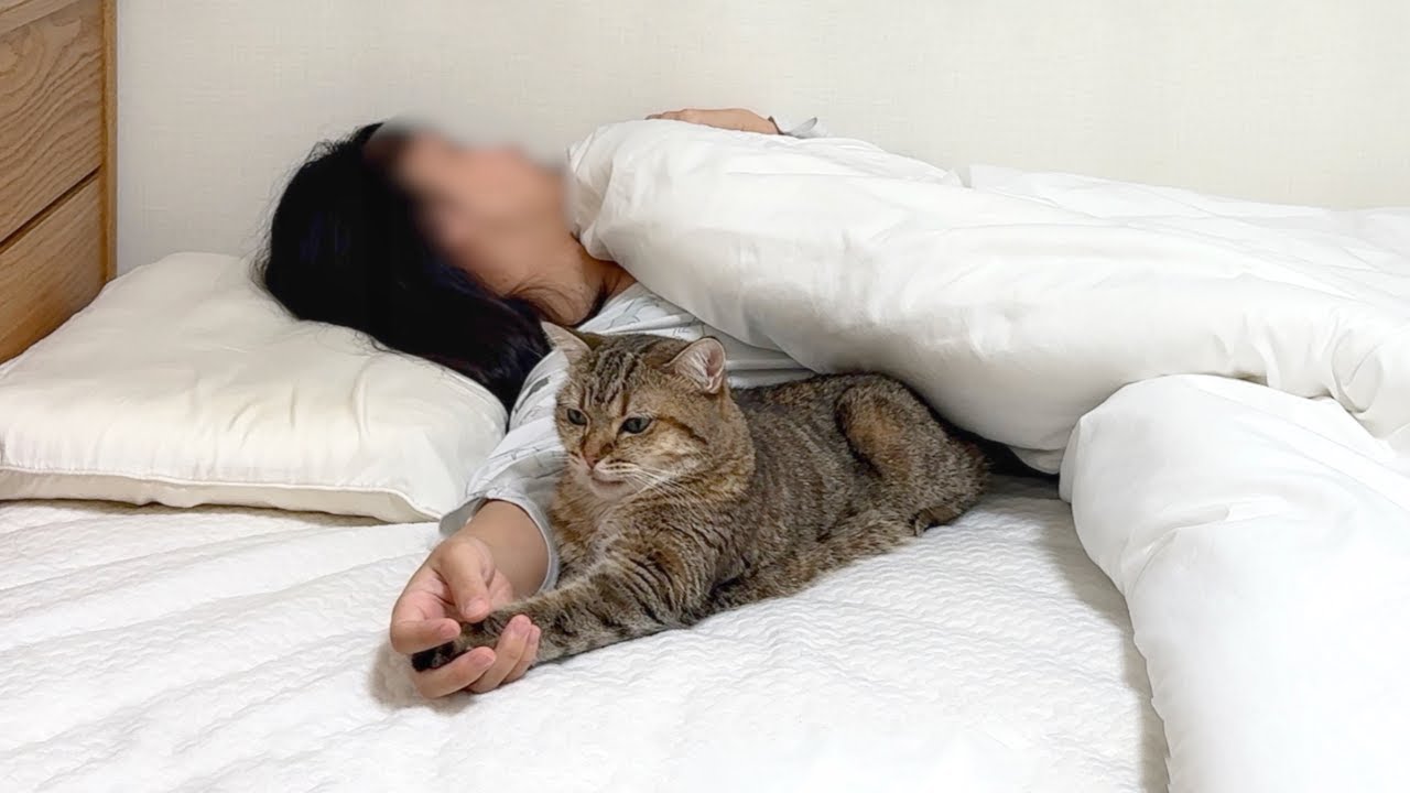 猫よりも先に寝たらダメな理由がこちら…！