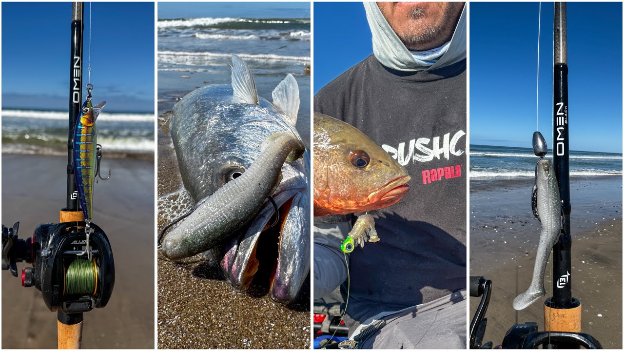 Jornada doble PESCA en PLAYA // PESCA en MANGLAR
