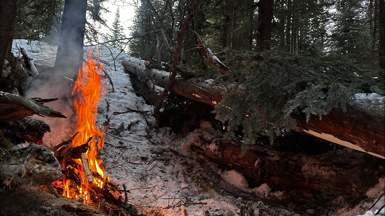 Teacher sleeps in the woods in winter