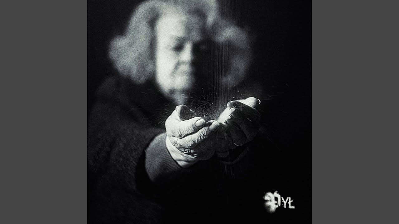 Pył