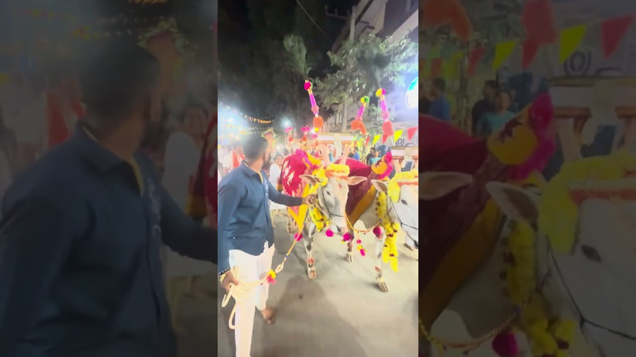 Hallikar Sankranti festival ￼ procession Bangalore Koramangala part 2