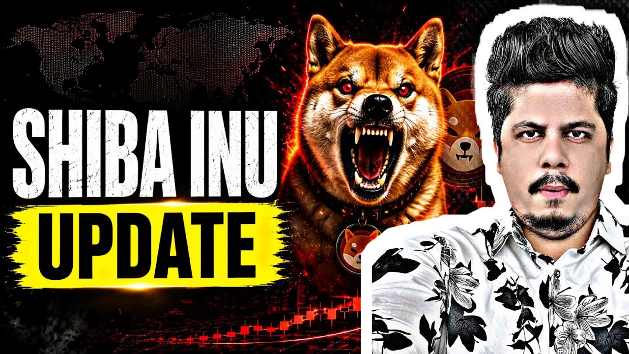 Shiba Inu Update