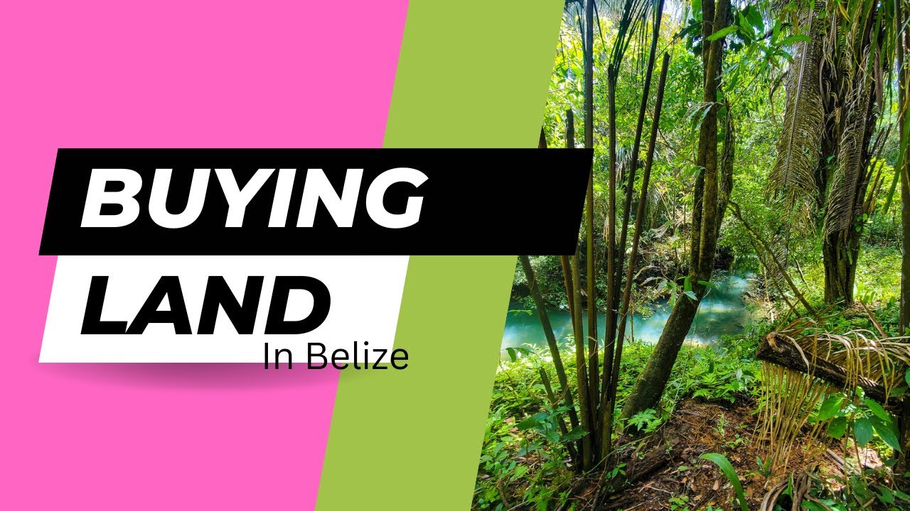Buying land in Belize and the move from HELL!