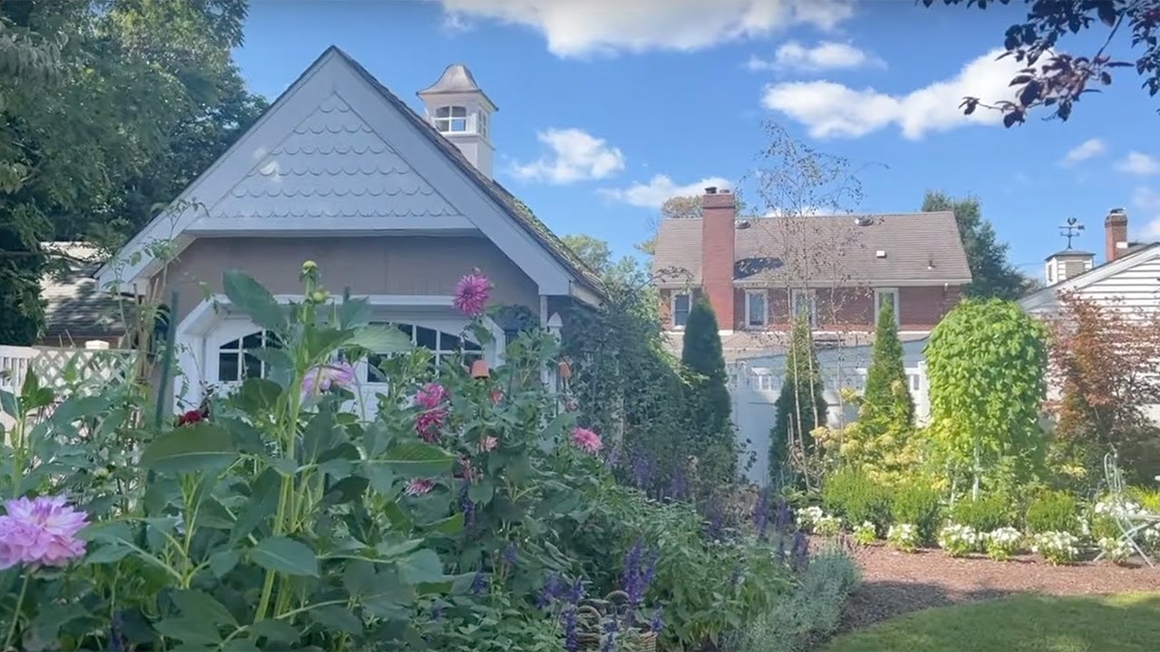 Dahlia Update 2022 // How's It Growing?