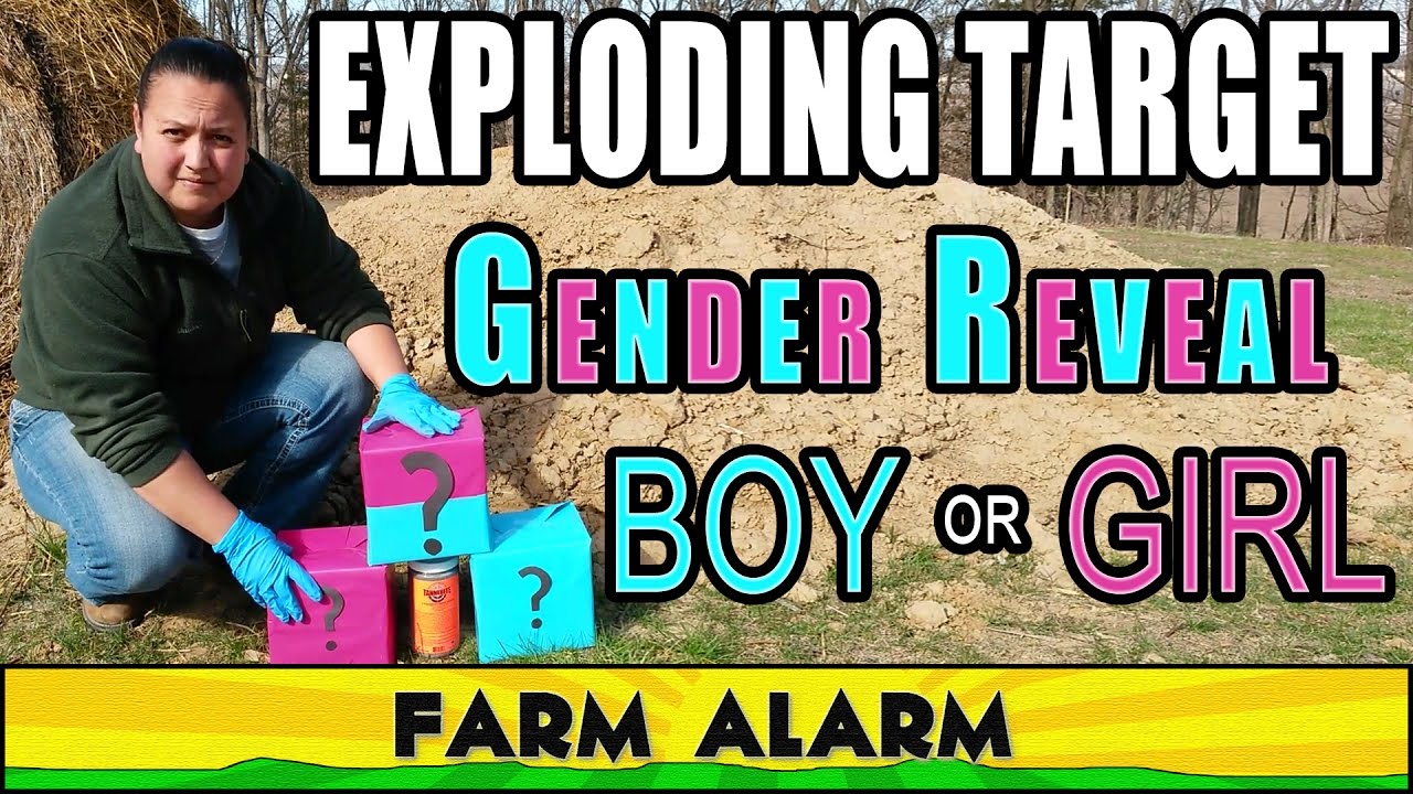 Exploding Target - Gender Reveal Party