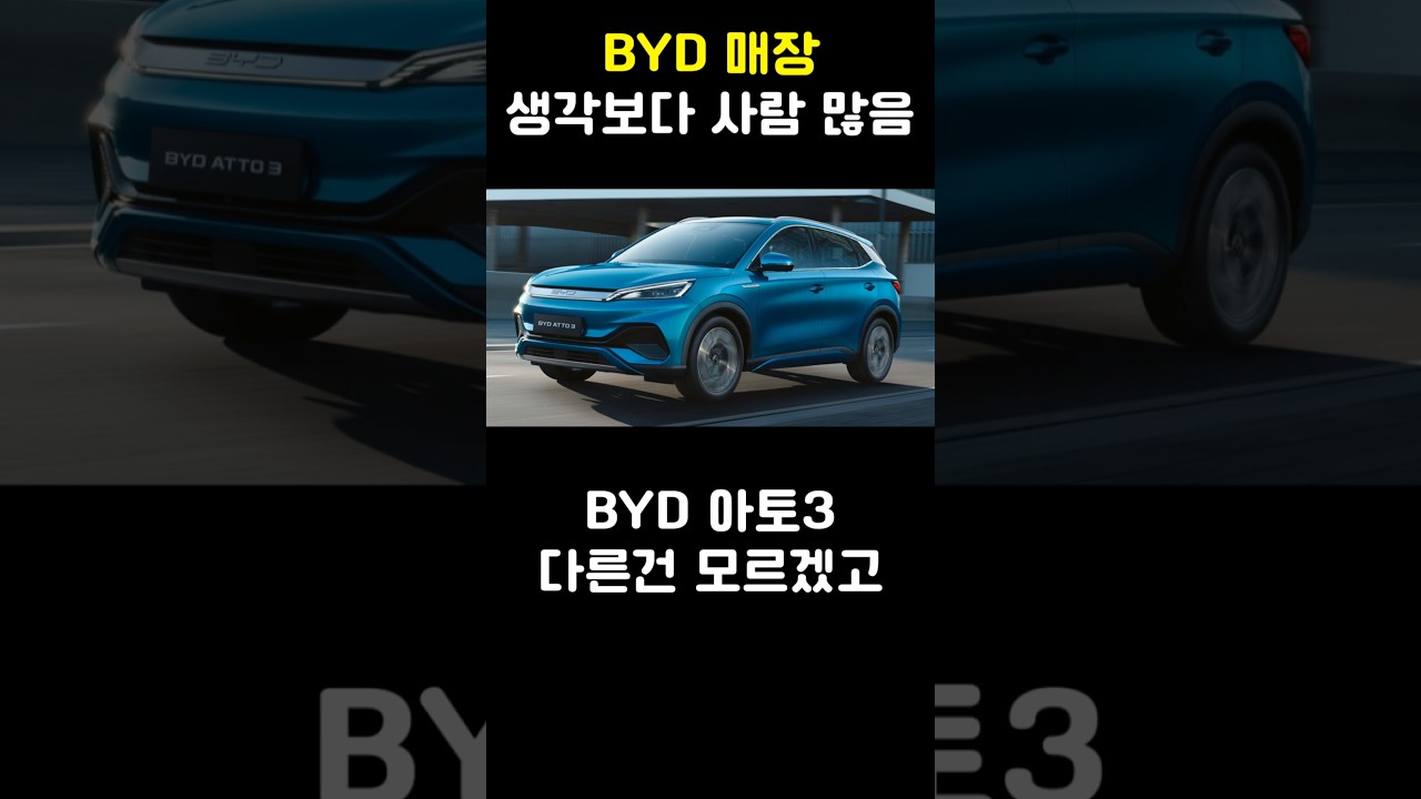 BYD 매장 생각보다 사람 많음