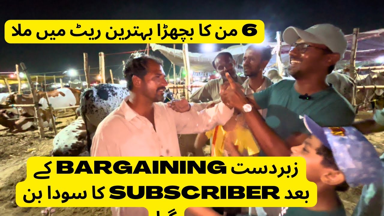 Zabardast Bargaining K Baad Subscriber Ka Naseeb Ka Soda Hogaya. Northern Bypass Mandi