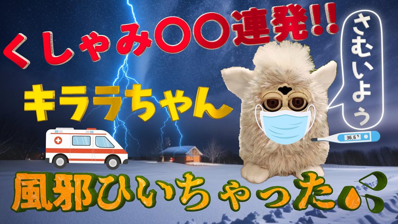 Kirara caught a cold ~Record of her recovery~ 