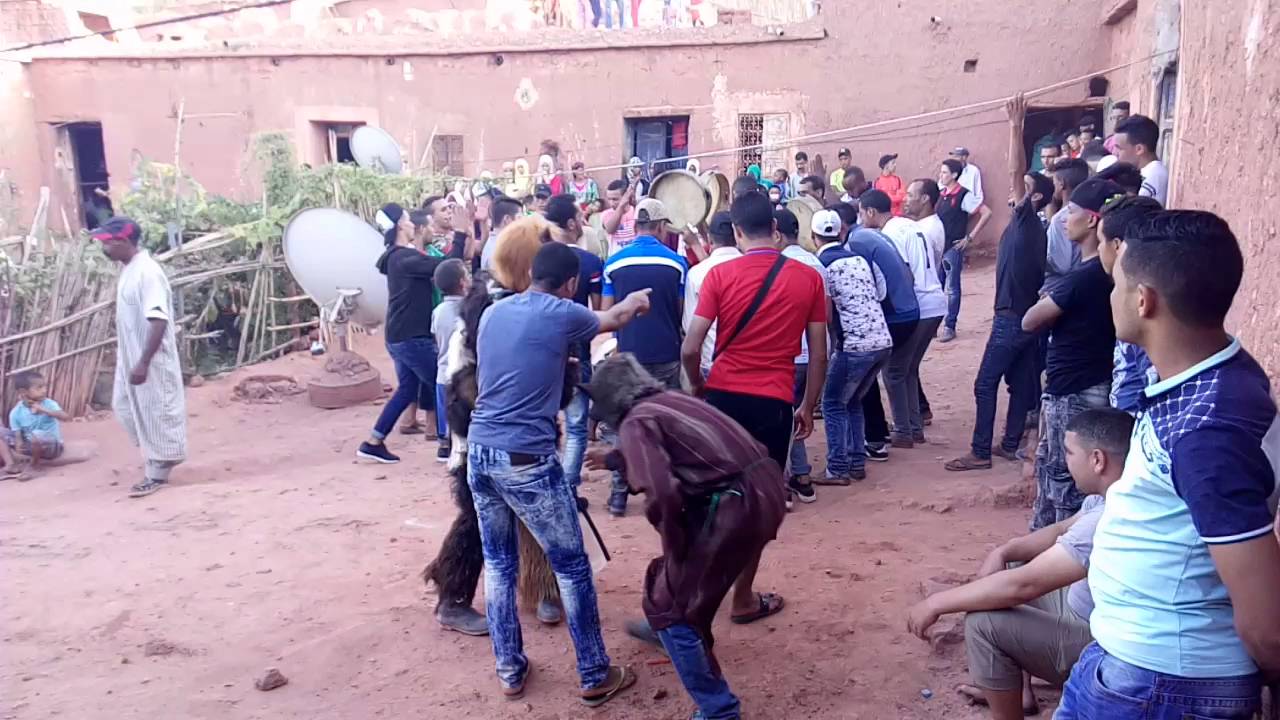 Boylmawn tamgonsi