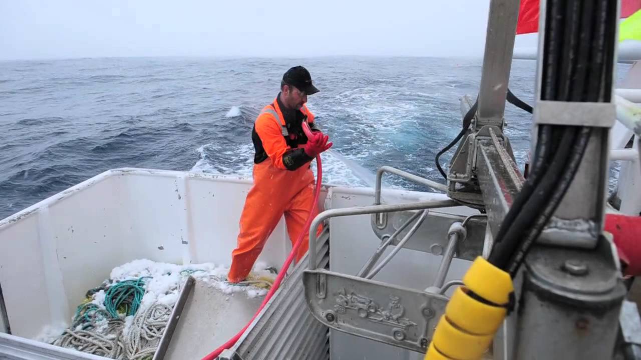 Cod fishing in Norway
