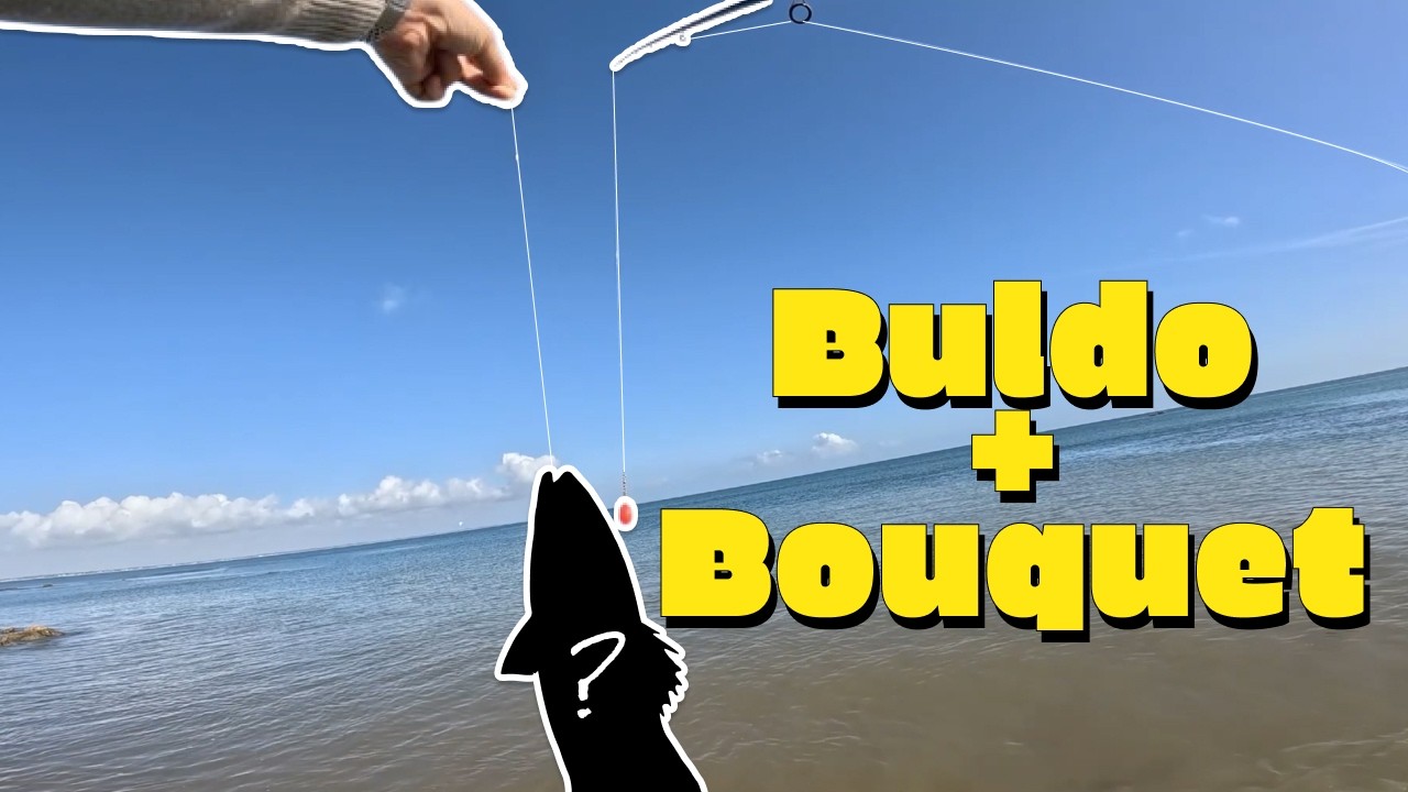 Buldo + Crevette = ANTI BREDOUILLE ?