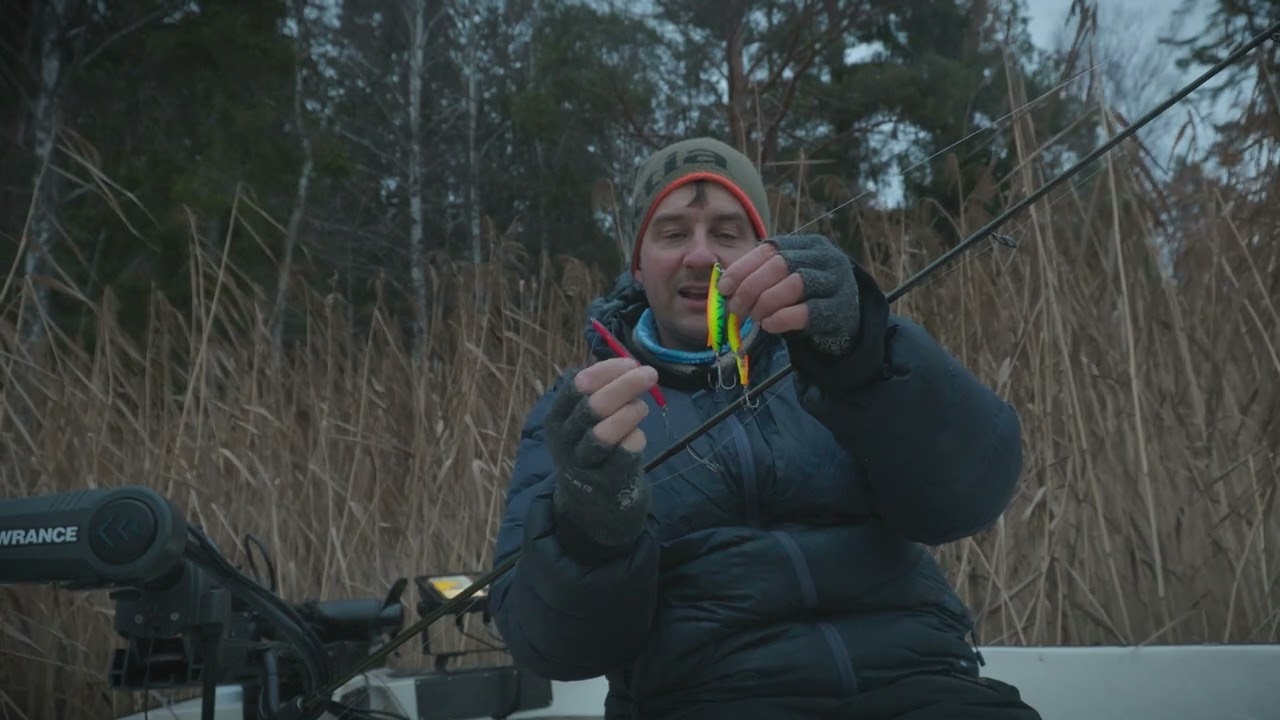 Rätt ÖRING-FÄRG i DECEMBER ?