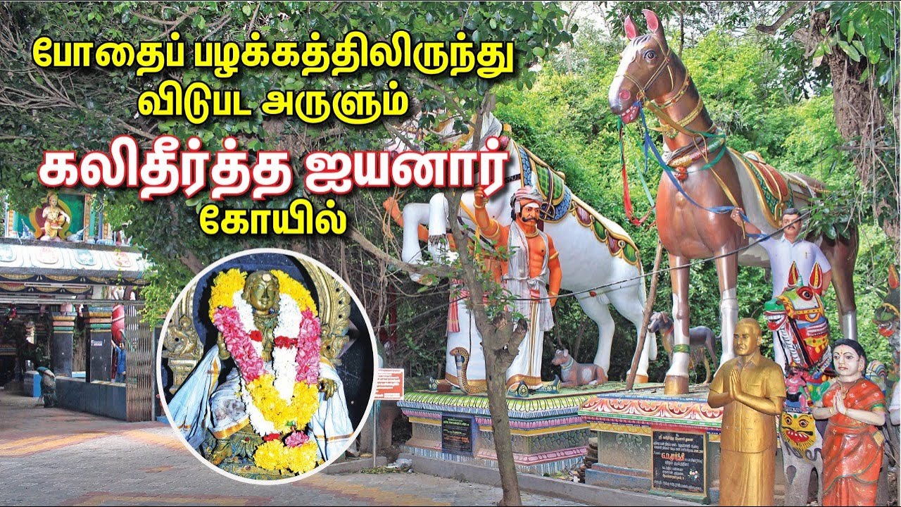 Lord Ayyanar | குறி சொல்லி ஆசி தரும் ஐயனார் | பொம்மை காணிக்கை | Vedaranyam Kali theertha Ayyanar