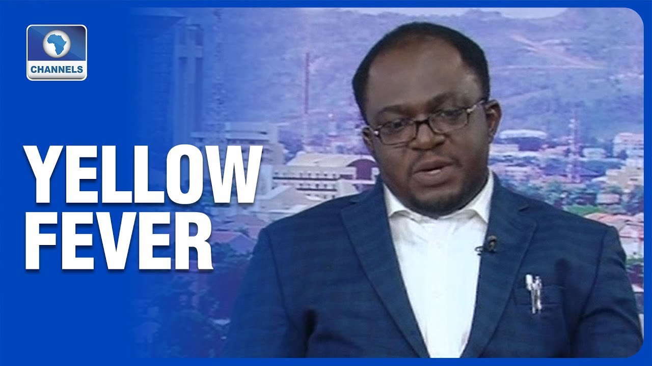 How To Eliminate Yellow Fever - Epidemiologist