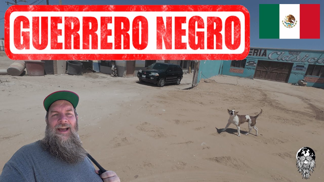 Bites & Wandering: A Flavorful Walk Through Guerrero Negro! 🇲🇽
