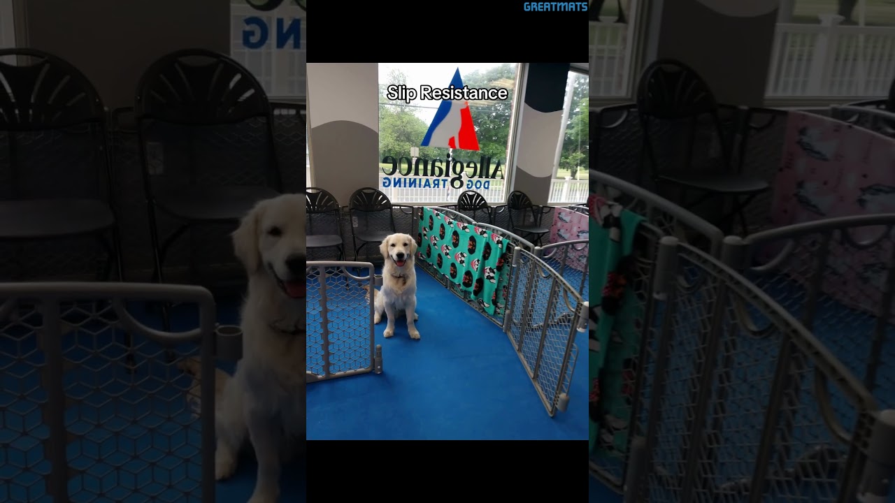 What to Look for in the Best Kennel Flooring! #dog #kennel