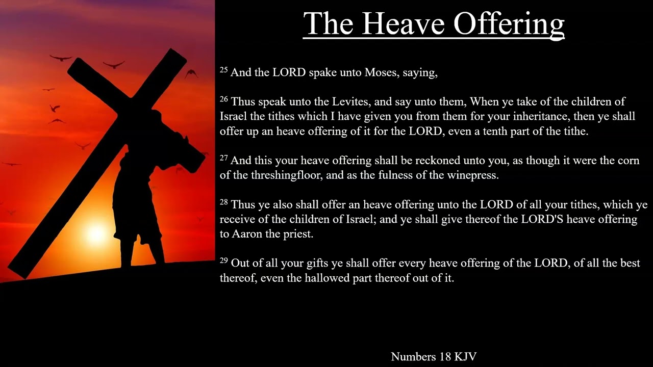 Numbers 18:25-32 KJV | The Heave Offering