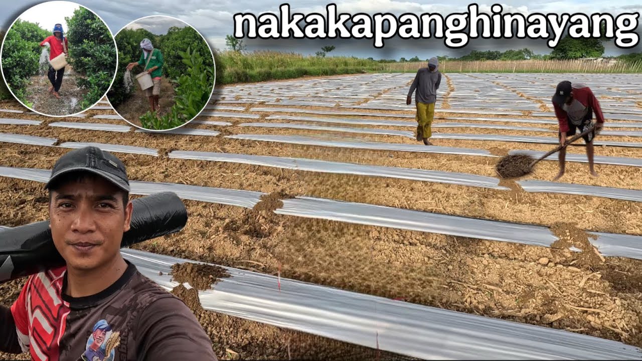 HIRAP I-EDIT: MGA NASAYANG NA TRABAHO AT GASTOS SA FARM 