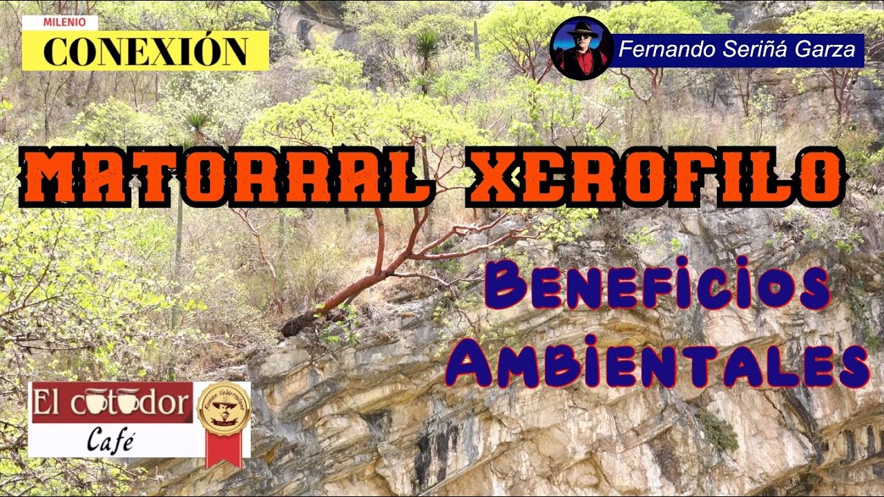 Matorral Xerófilo y sus beneficios, Sur de Puebla