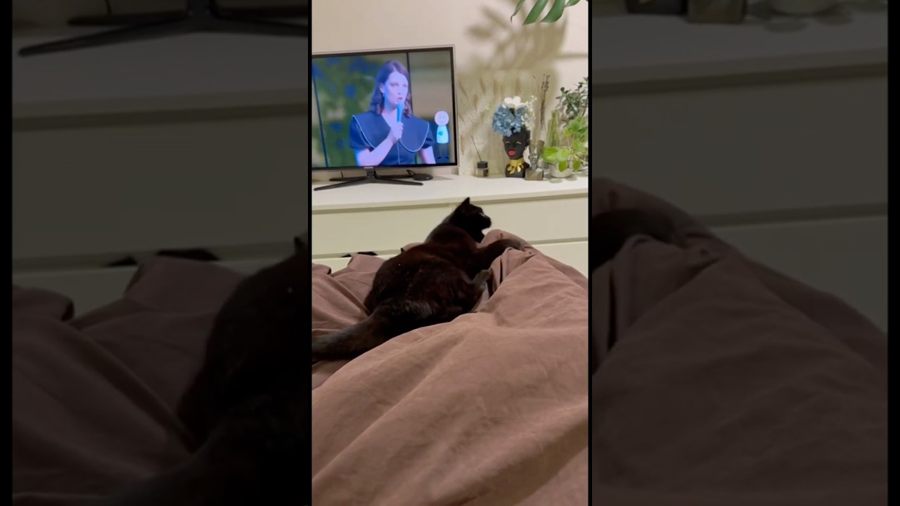 Лайк Кисунье с приветом 😁 