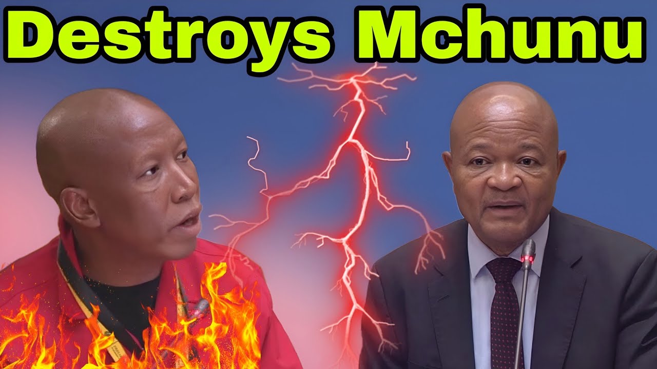 Julius Malema Destroy Senzo Mchunu about PKTT, 121 Dockets,Cat Matlala & Mogotsi.