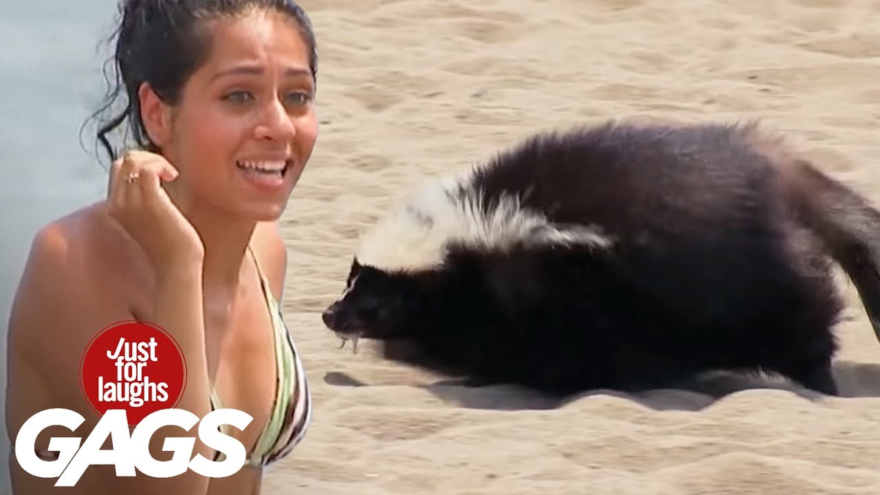 Mejores Bromas - Chicas calientes en la playa