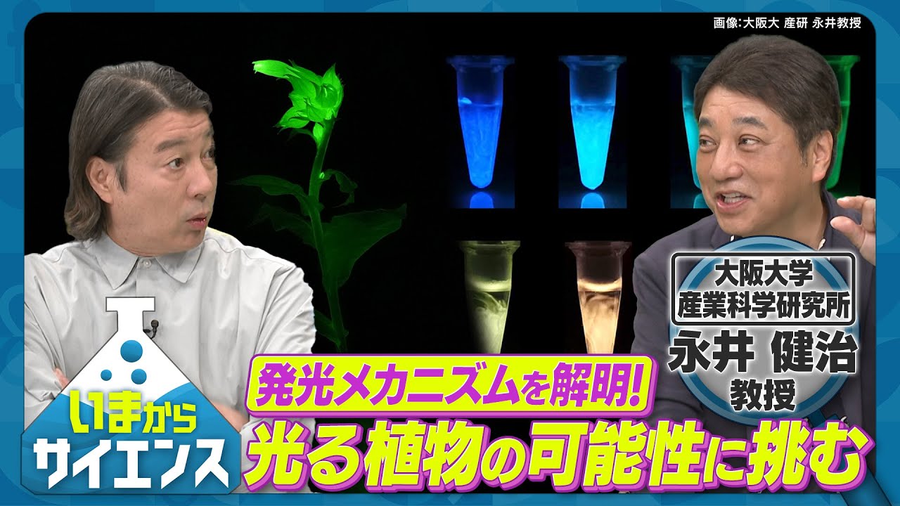 万博で大注目！電気不要・光る植物の可能性に迫る　永井健治（大阪大学産業科学研究所教授）【いまからサイエンス】