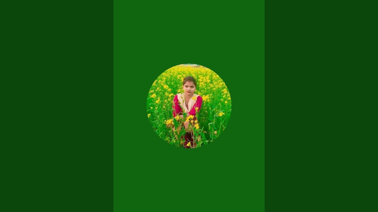 Golu Official 0.1 is live