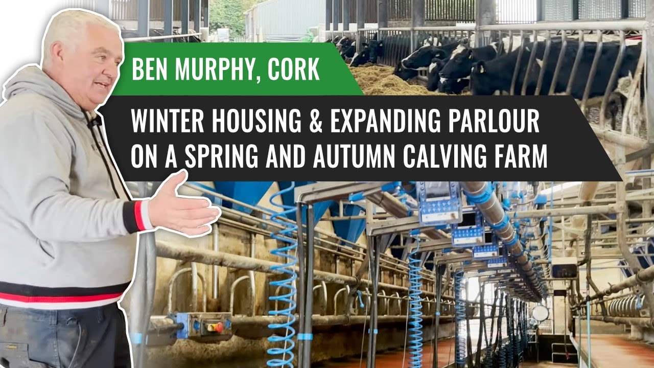 Winter Housing and Expanding Parlour on a Spring and Autumn Calving Farm - Ben Murphy, Cork