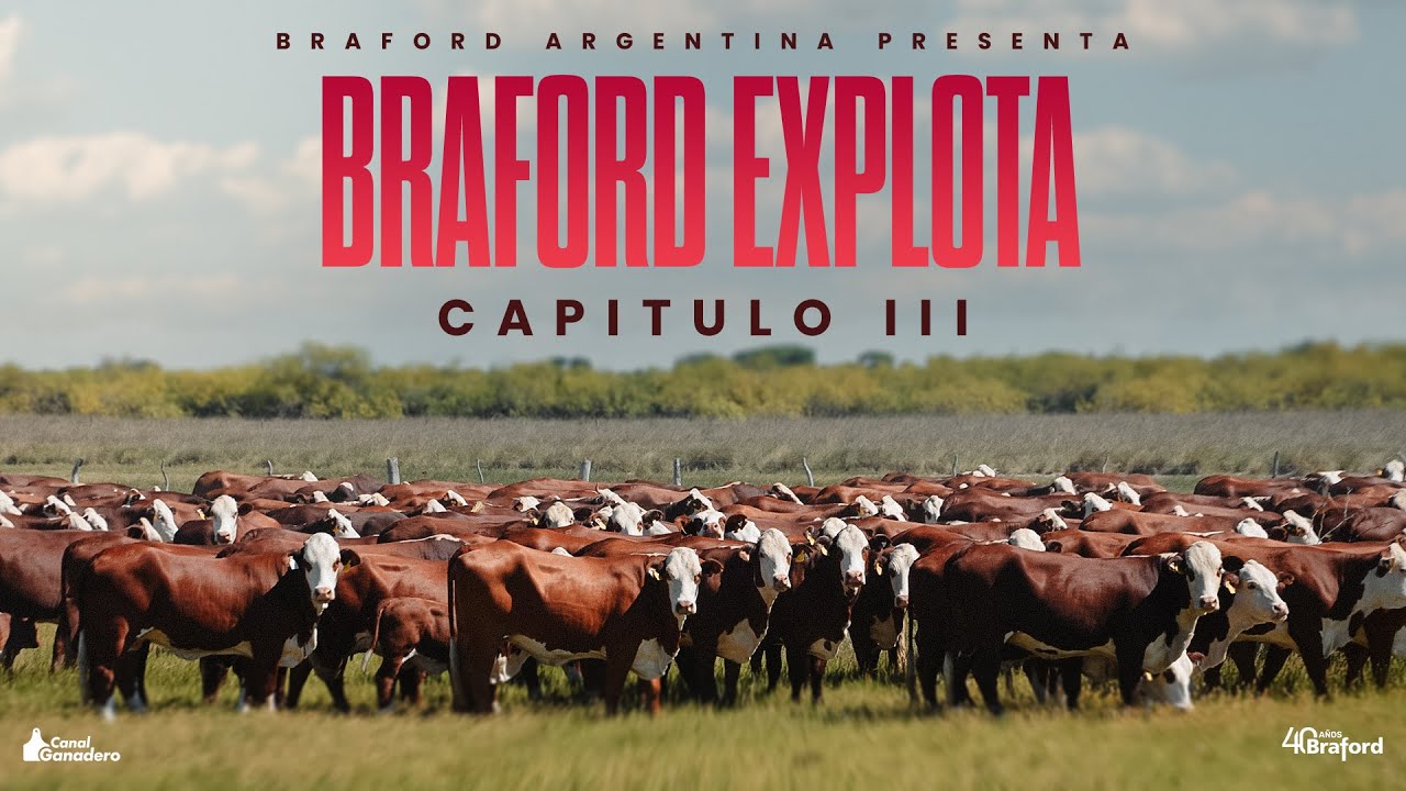 Capítulo 3 - 