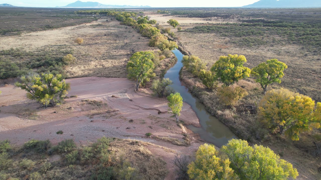 San Pedro Riparian National Conservation Area