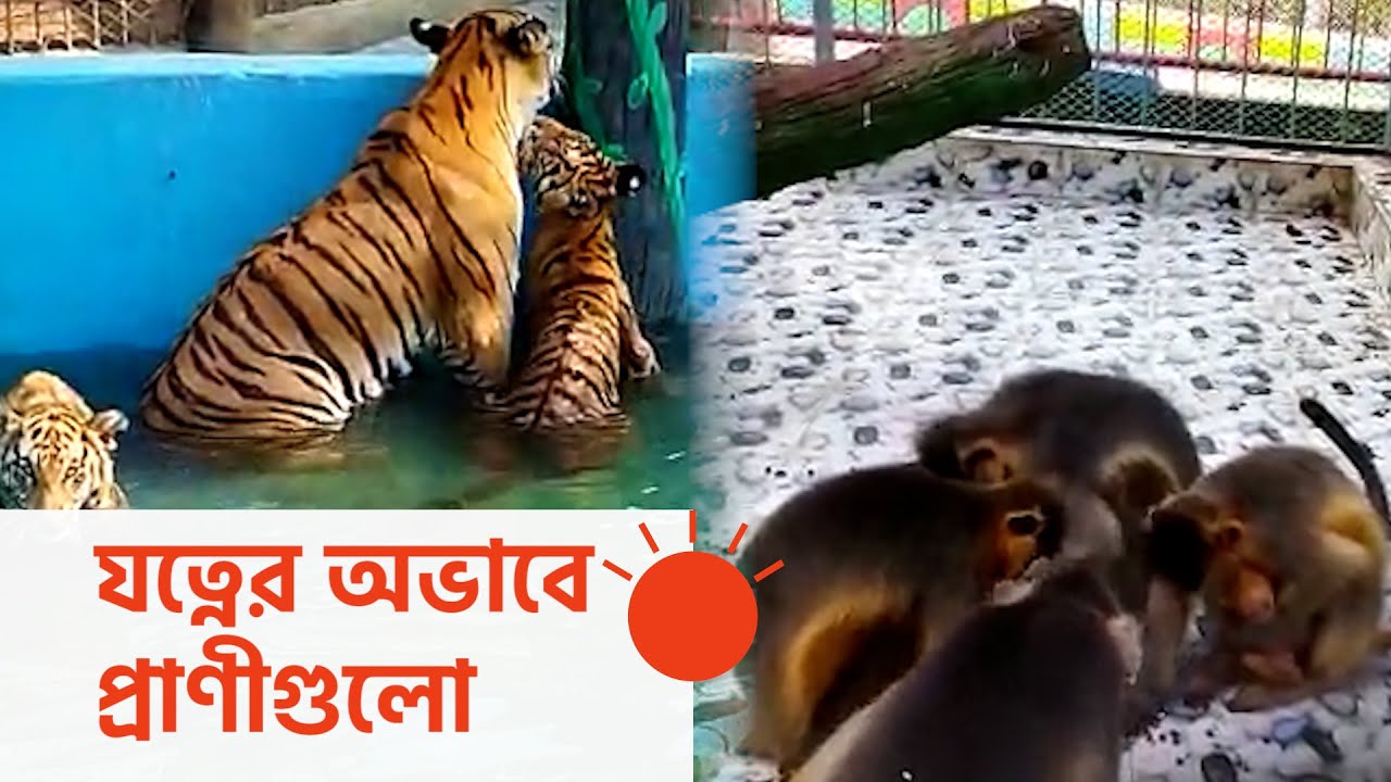 দুর্গন্ধে প্রাণ ওষ্ঠাগত চট্টগ্রাম চিড়িয়াখানায় | Chittagong Zoo