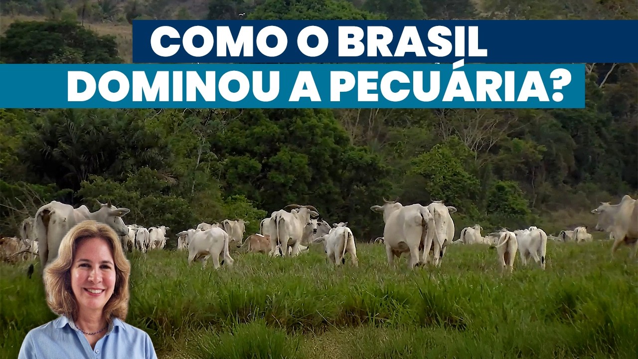 Pecuária global melhora com pacote tecnológico do Brasil | Noticiário Tortuga
