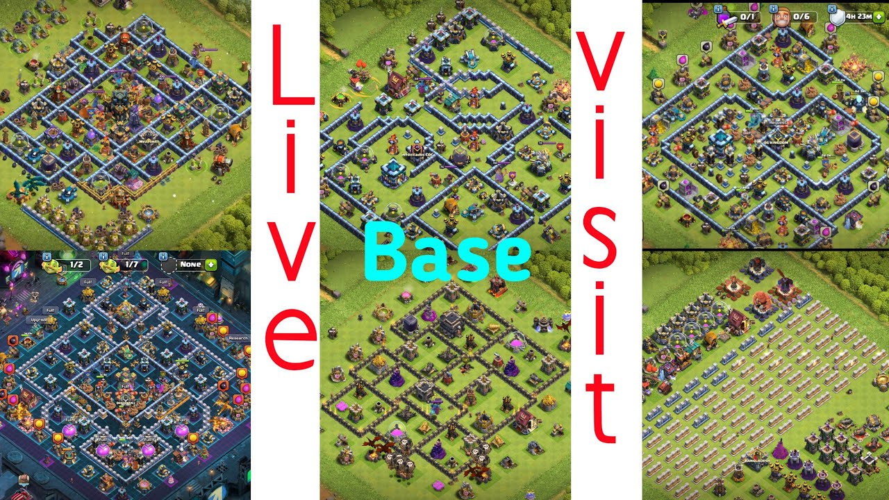 Live 