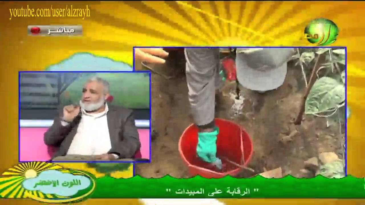 المبيدات الزراعية و الرقابة على المبيدات المسرطنة وطرق زيادة فعالية المبيد