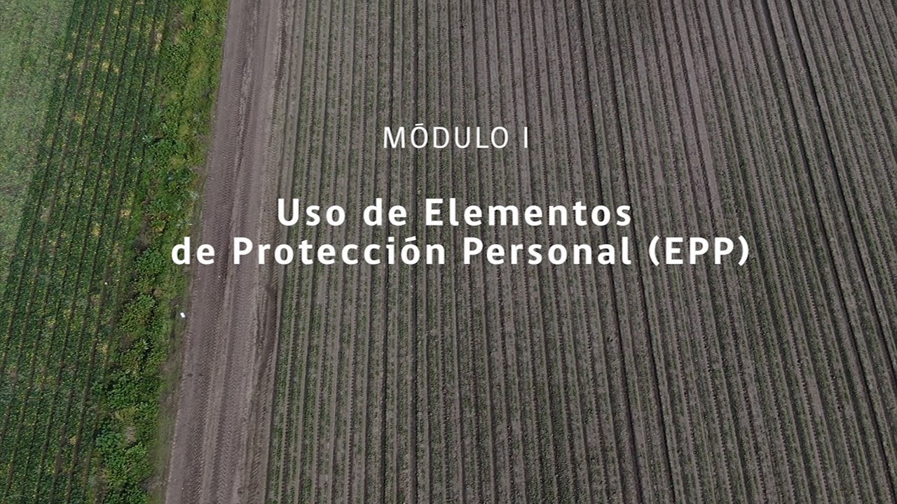 Módulo I: uso de elementos de protección personal (EPP)