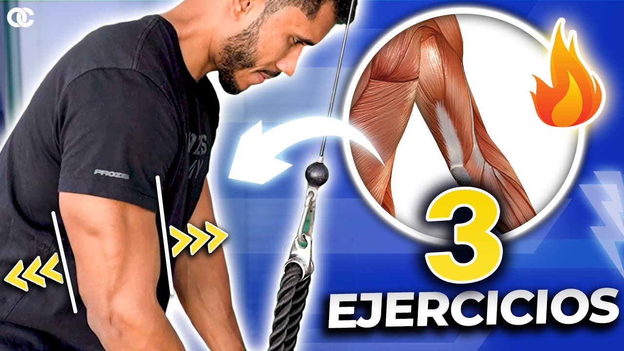 ¡Los ÚNICOS 3 ejercicios para TRÍCEPS que debes hacer ya