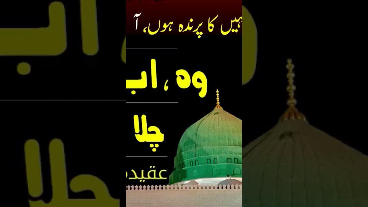 Taleem Shareef.. #idreesia-381 #quran #islam #madina..