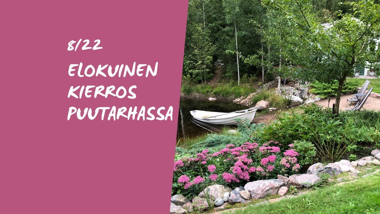 Elokuinen puutarhakierros kasvihuoneessa, kasvimailla sekä puutarhassa 2022🍇🫑🌸🍏🌿🍐🌺