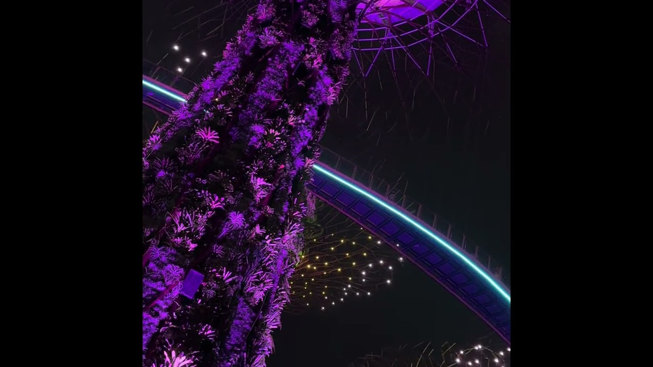 A visit to Gardens by the Bay. A light sensory show in 2026. 